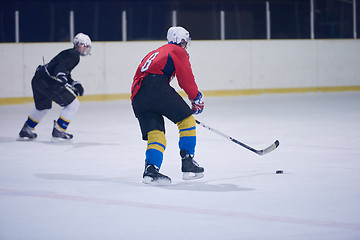 Image showing ice hockey sport players