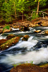 Image showing River rapids