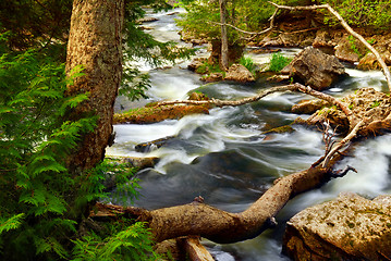 Image showing River rapids