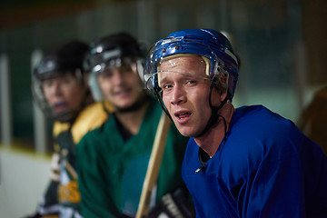 Image showing ice hockey players on bench