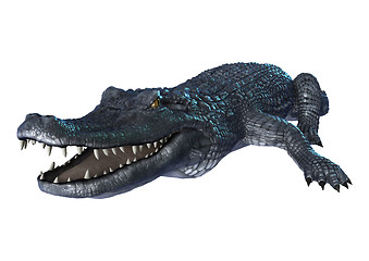 Image showing Caiman