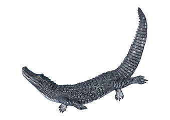 Image showing Caiman