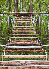 Image showing Wooden stairs in the green forest park