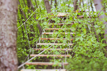 Image showing Wooden stairs in the green forest park