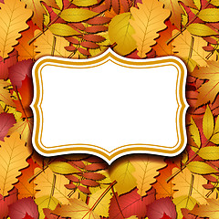 Image showing Frame labels on background with autumn leaves.