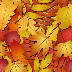 Image showing seamless with autumn leaves