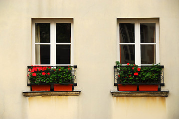 Image showing Windows with planters