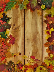 Image showing Autumn Leafs and Yield