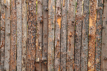 Image showing wooden bark background