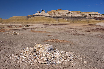 Image showing Bisti Badlands, New Mexico, USA