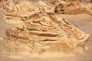 Image showing Bisti Badlands, New Mexico, USA