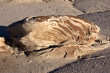 Image showing Bisti Badlands, New Mexico, USA