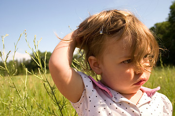 Image showing Windy Field