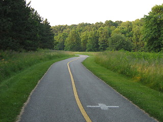 Image showing Summer Trail