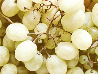 Image showing Retro looking Grape picture