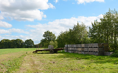 Image showing Farm trailer and wooden fruit crates ready for harvest