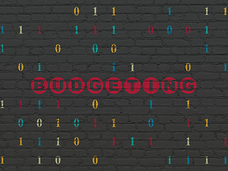 Image showing Finance concept: Budgeting on wall background