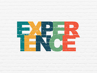 Image showing Business concept: Experience on wall background