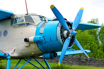 Image showing Old retro airplane on green grass 