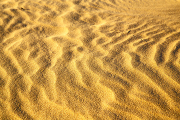 Image showing africa the brown   in   sahara    line