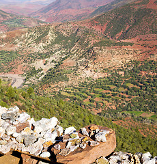 Image showing the    dades valley in atlas moroco africa ground tree  and nobo