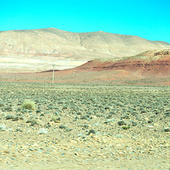 Image showing brown bush  in    valley  morocco         africa the atlas dry m