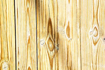 Image showing nail dirty stripped paint in the brown 