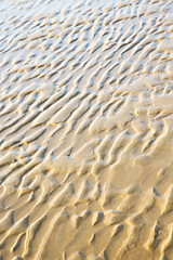 Image showing dune morocco in africa brown   near atlantic ocean