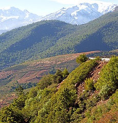 Image showing the    dades valley in atlas moroco africa ground tree  and nobo