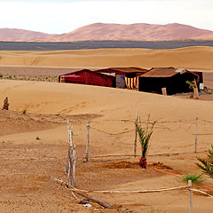 Image showing tent in  the desert of morocco sahara and rock  stone    sky