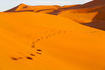 Image showing sunshine in the desert of morocco   and dune