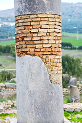 Image showing old column in the africa  and nature