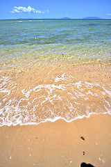 Image showing paradise beach seaweed  indian ocean   be   and foam