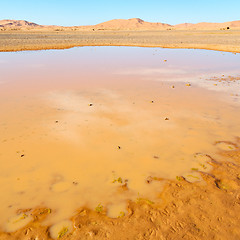 Image showing sunshine in the lake yellow  desert of morocco sand and     dune