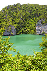 Image showing  coastline of a green lagoon and    bay  