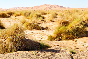 Image showing mountain old fossil in  the desert  sky