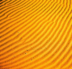 Image showing africa the brown sand dune in   sahara morocco desert line