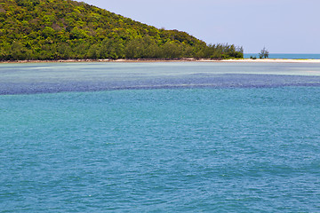 Image showing    bay  coastline of a green lagoon and tree 