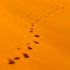 Image showing sunshine in the desert of morocco sand and dune