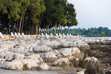 Image showing loungers and pine trees on rocky beaches