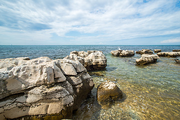 Image showing sunny day on the Adriatic coast