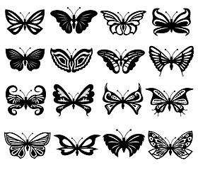 Image showing Set Of Black And White Butterflies