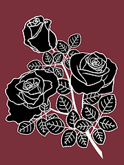 Image showing Black and white roses on the dark