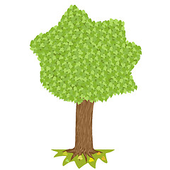 Image showing Tree  with green crown