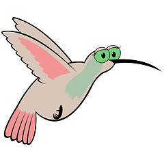 Image showing Hummingbird Cartoon Vector Illustration