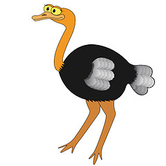 Image showing Ostrich Cartoon Vector Illustration