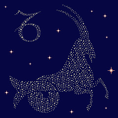 Image showing Zodiac sign Capricorn on the starry sky