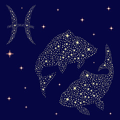 Image showing Zodiac sign Pisces on the starry sky