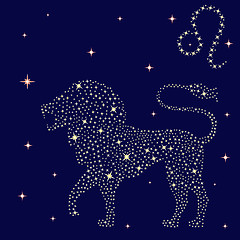 Image showing Zodiac sign Leo on the starry sky