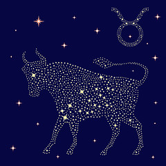 Image showing Zodiac sign Taurus on the starry sky